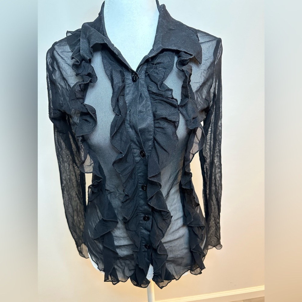 Zebra Sheer Vintage Ruffled Mesh Buttoned Blouse